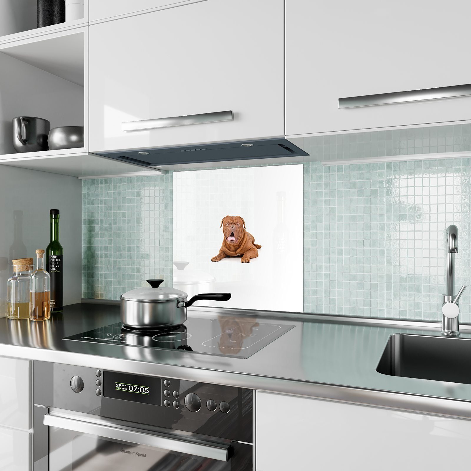 Hund Spritzschutz Glas Primedeco liegend Motiv mit Küchenrückwand Grosser Küchenrückwand