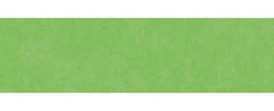 Glorex Bastelkartonpapier Glorex Blumenseide 20g/m² hellgrün