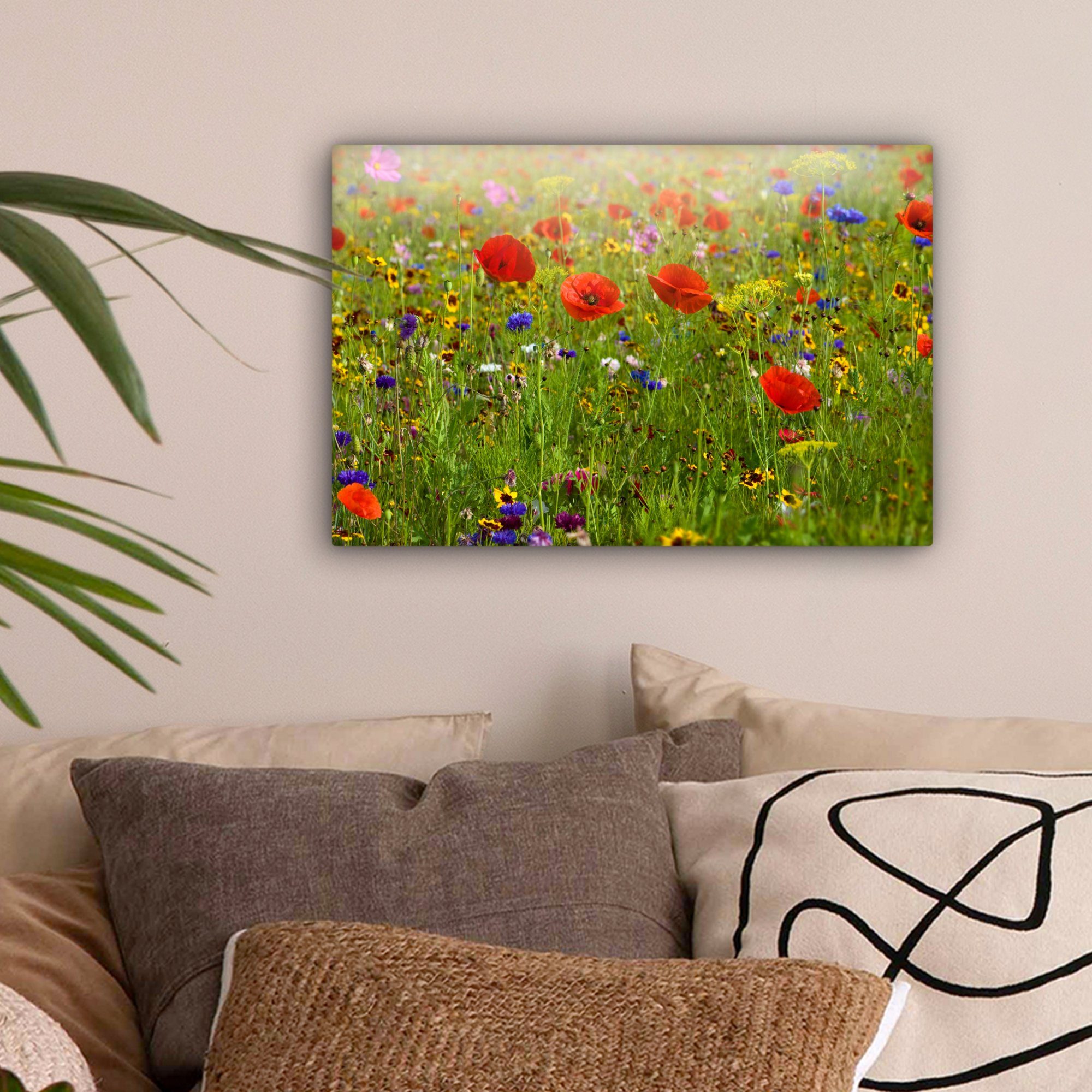 OneMillionCanvasses® Leinwandbild Frühling - Blumen - günstig online kaufen