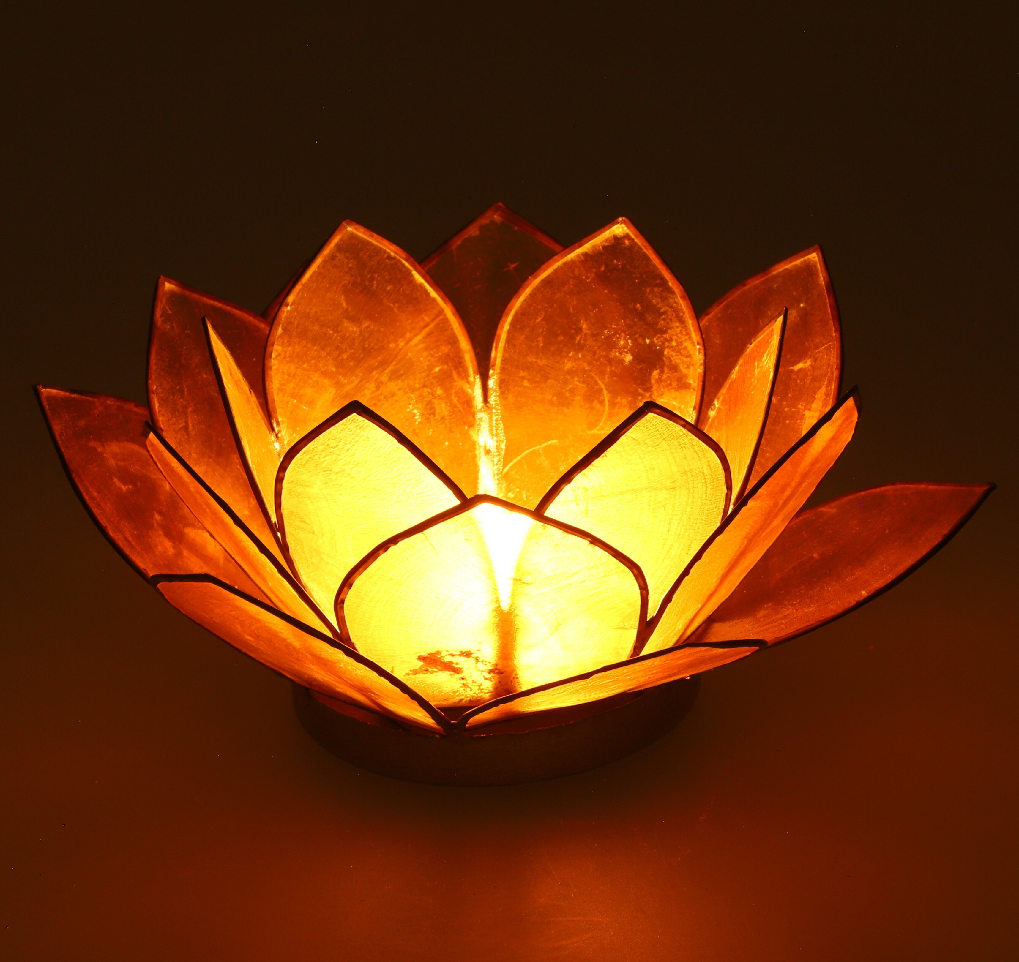 Muschel Guru-Shop Windlicht Lotus - cm Teelicht 14*6 goldgelb