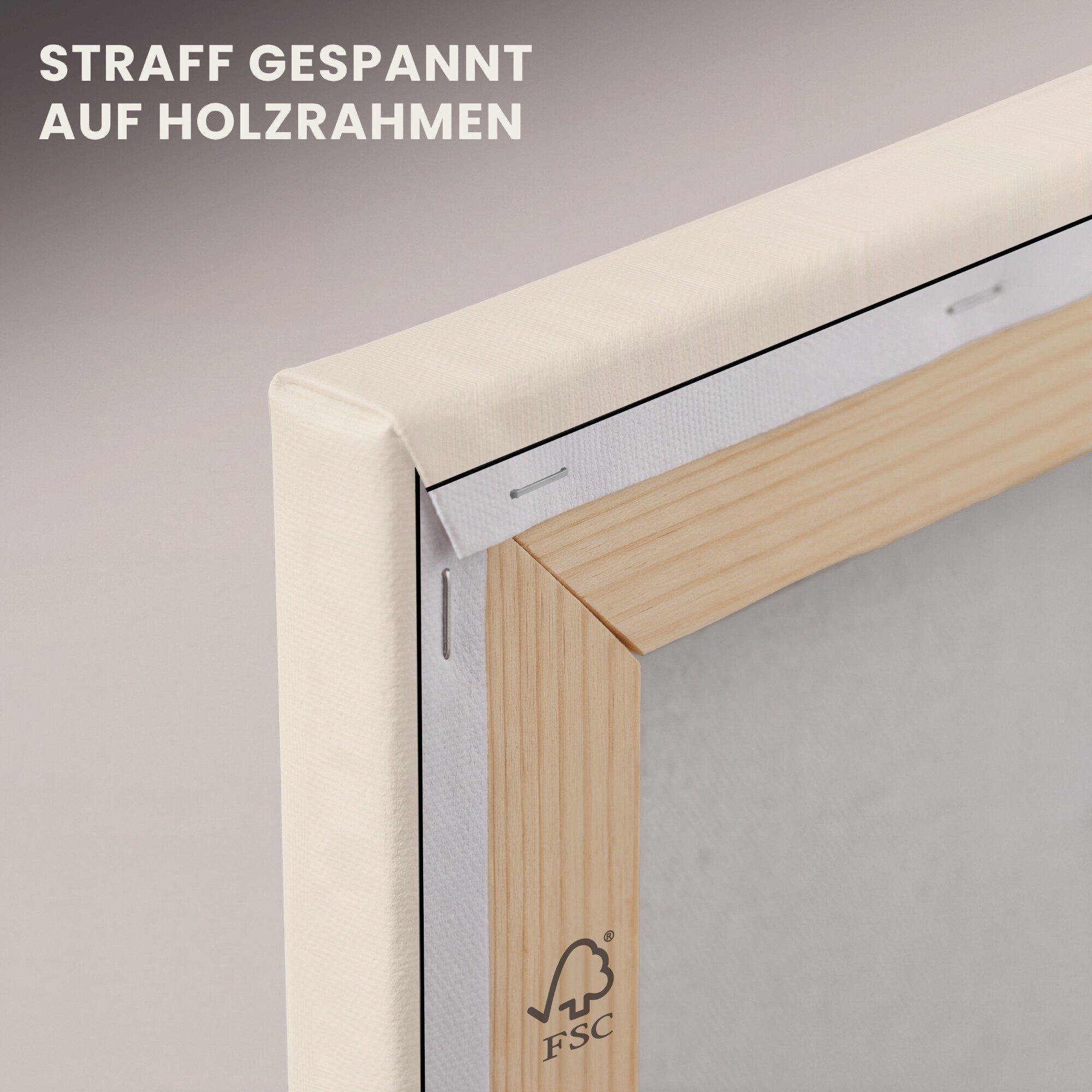 OneMillionCanvasses® Leinwandbild Pflanze - Beige - Japanisch, Fotodruck (1 St), Wandbild, Deko Schlafzimmer Wohnzimmer Flur 20x20 cm – Bild 5 von 5