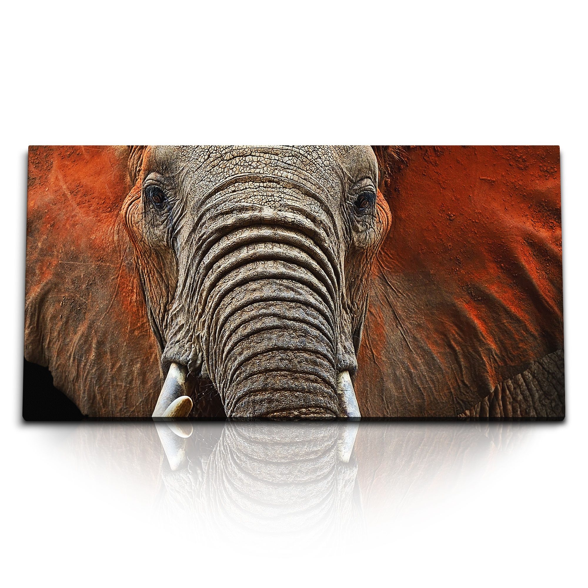 Leinwandbild Kunstdruck Bilder 120x60cm Tierfotografie Elefant Porträt Afrika Safar