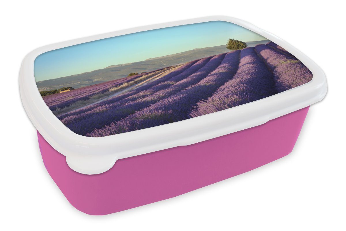MuchoWow Lunchbox Blühende Lavendelfelder auf der Hochebene von Valensole in, Kunststoff, (2-tlg), Brotbox für Erwachsene, Brotdose Kinder, Snackbox, Mädchen, Kunststoff rosa