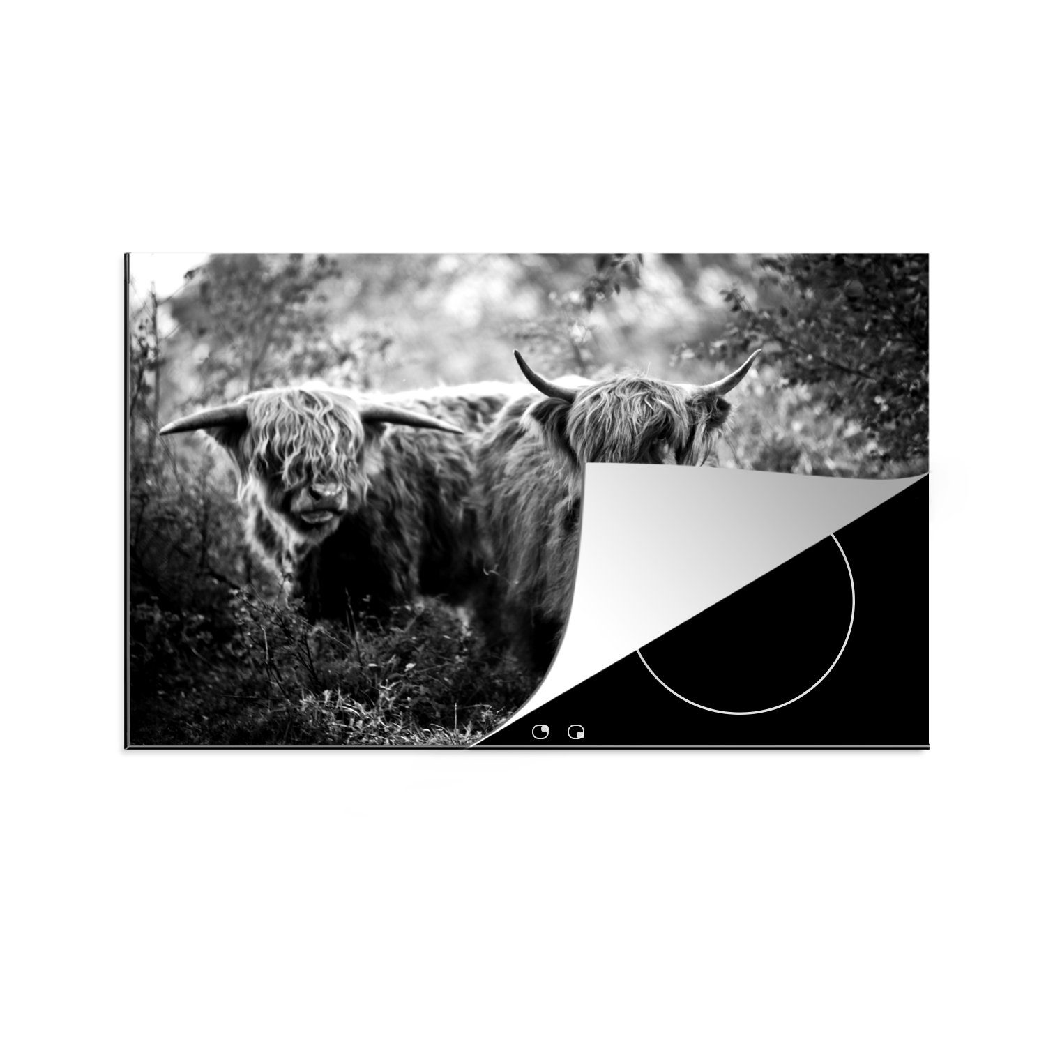 MuchoWow Herdblende-/Abdeckplatte 76x51.5 cm Schottische Hochlandrind mit  nasser Schnauze im Wald - - Kuh - Tier, Vinyl, (1 tlg), Induktionsschutz -  Herdabdeckung Matte von Vinyl, das perfekte, rollbare Material für jedes  Kochfeld -