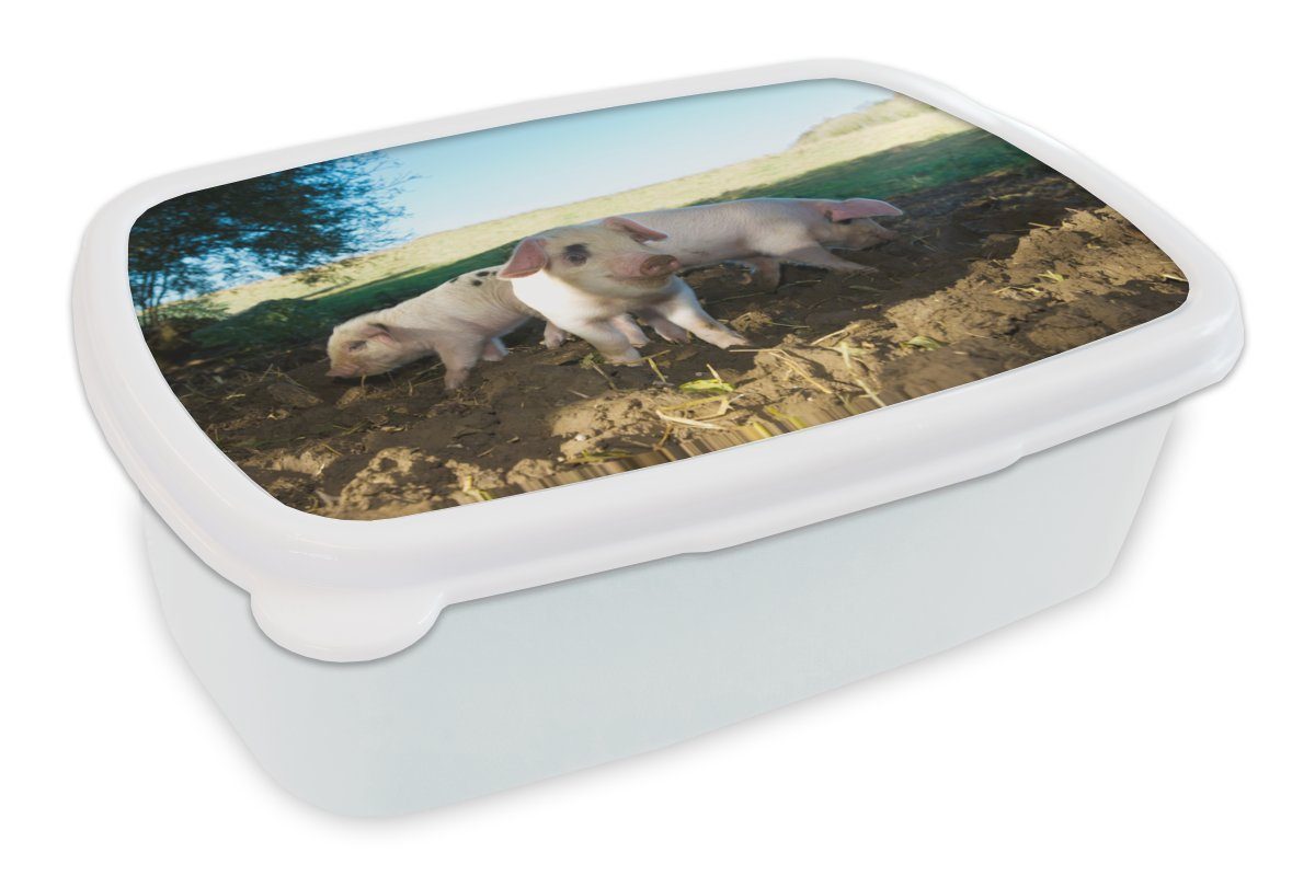 MuchoWow Lunchbox Schweine - Tiere - Landschaft, Kunststoff, (2-tlg), Brotbox für Kinder und Erwachsene, Brotdose, für Jungs und Mädchen weiß
