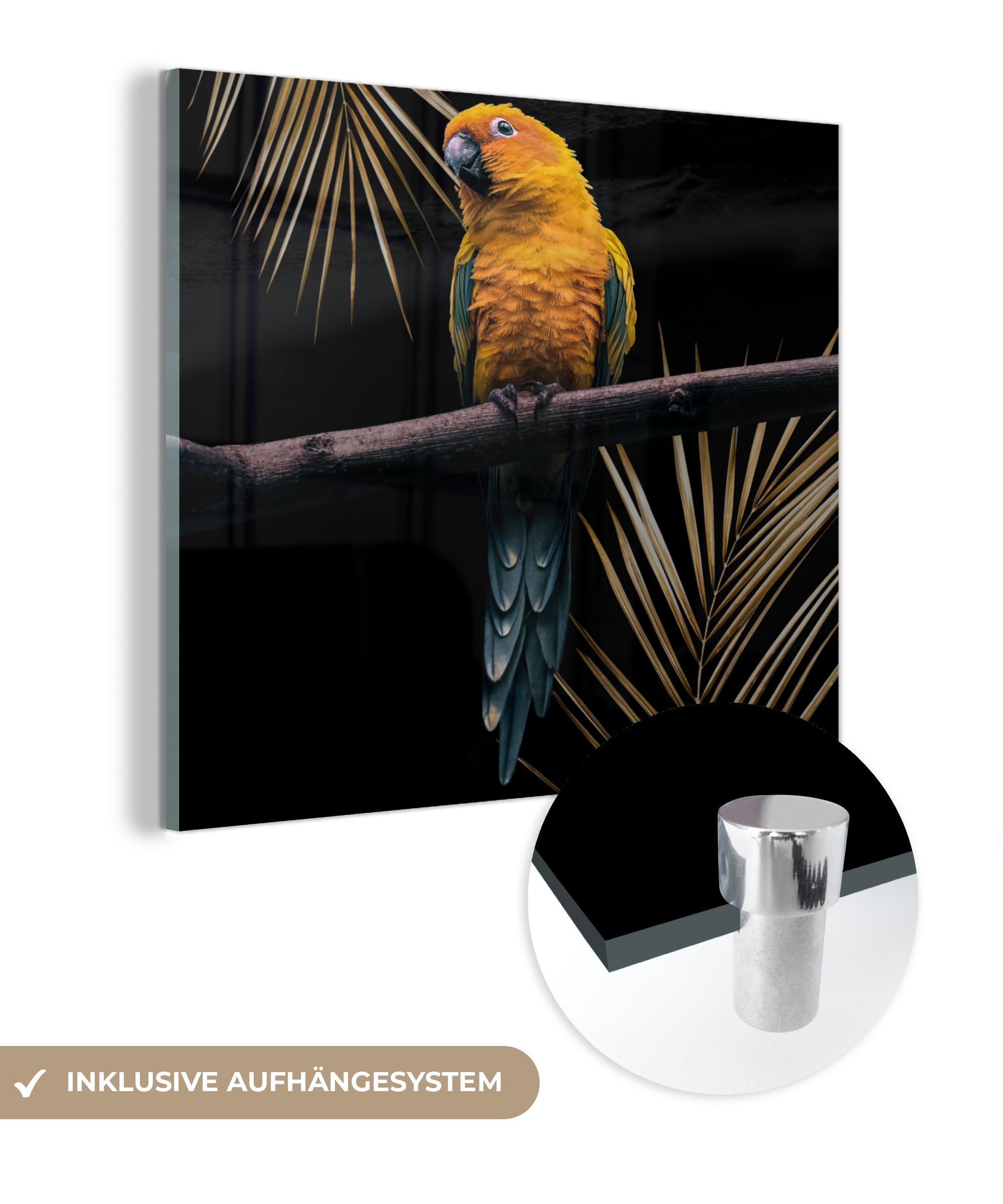 MuchoWow Acrylglasbild Vogel - Papagei - Zweig - Farn, (1 St), Glasbilder - Bilder auf Glas Wandbild - Foto auf Glas - Wanddekoration