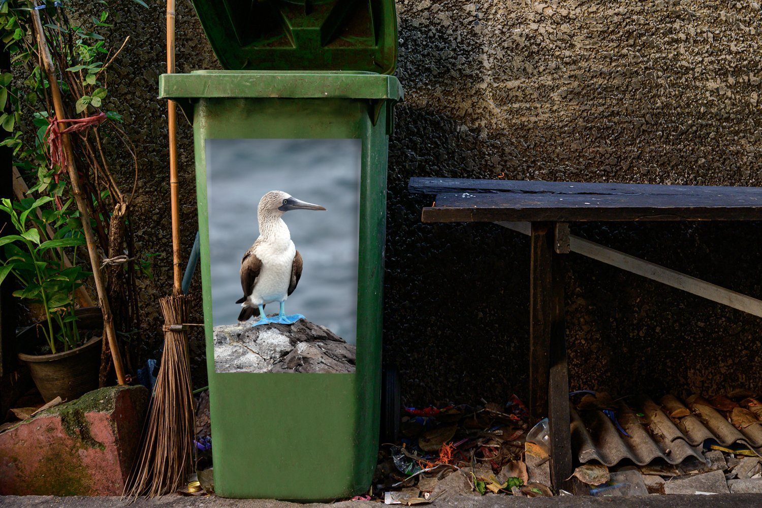 Container, MuchoWow Galapagosinseln (1 Wandsticker Mülltonne, auf Seitenansicht den Mülleimer-aufkleber, Abfalbehälter St), Blaufußtölpel Sticker,