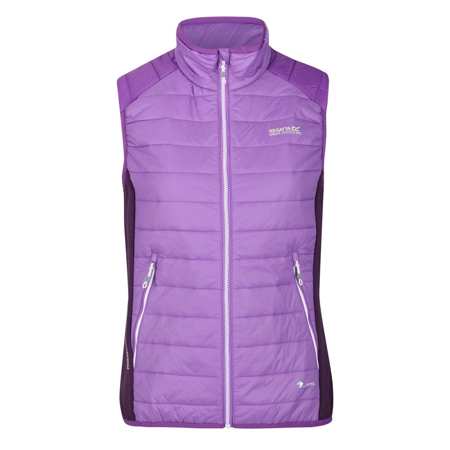 Regatta Softshellweste Hybrid Weste Halton günstig online kaufen