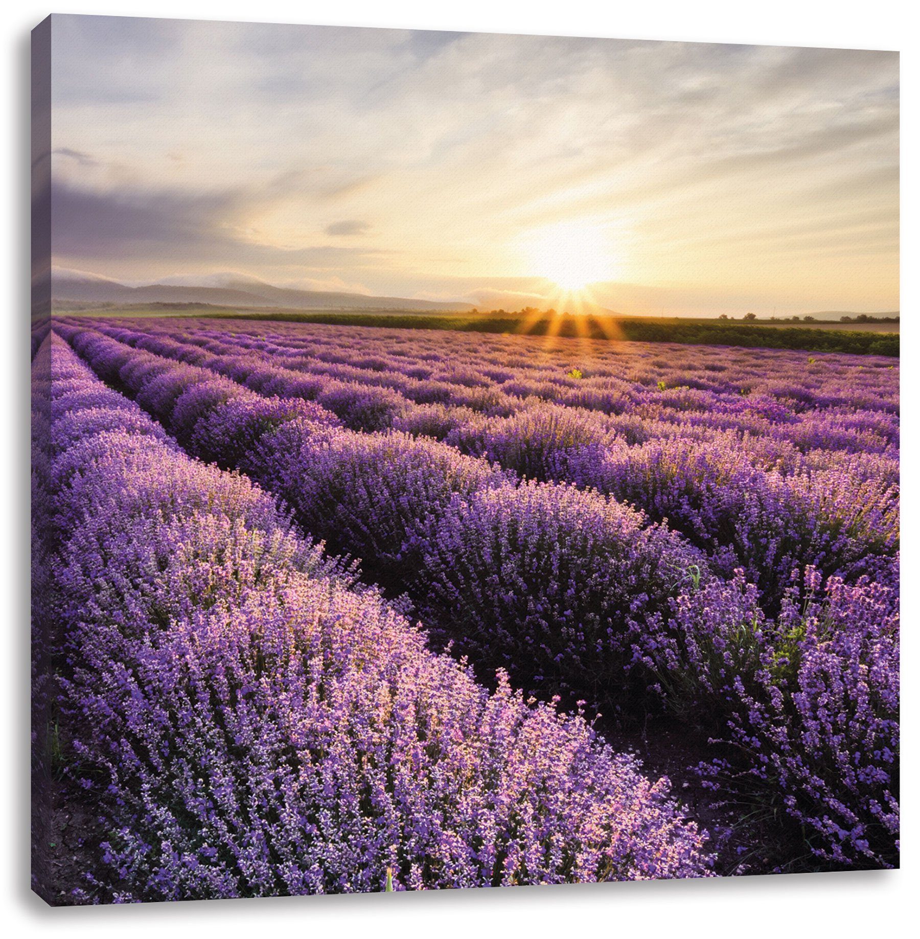 Pixxprint Leinwandbild Traumhafte Lavendel Provence, Traumhafte Lavendel Provence (1 St), Leinwandbild fertig bespannt, inkl. Zackenaufhänger