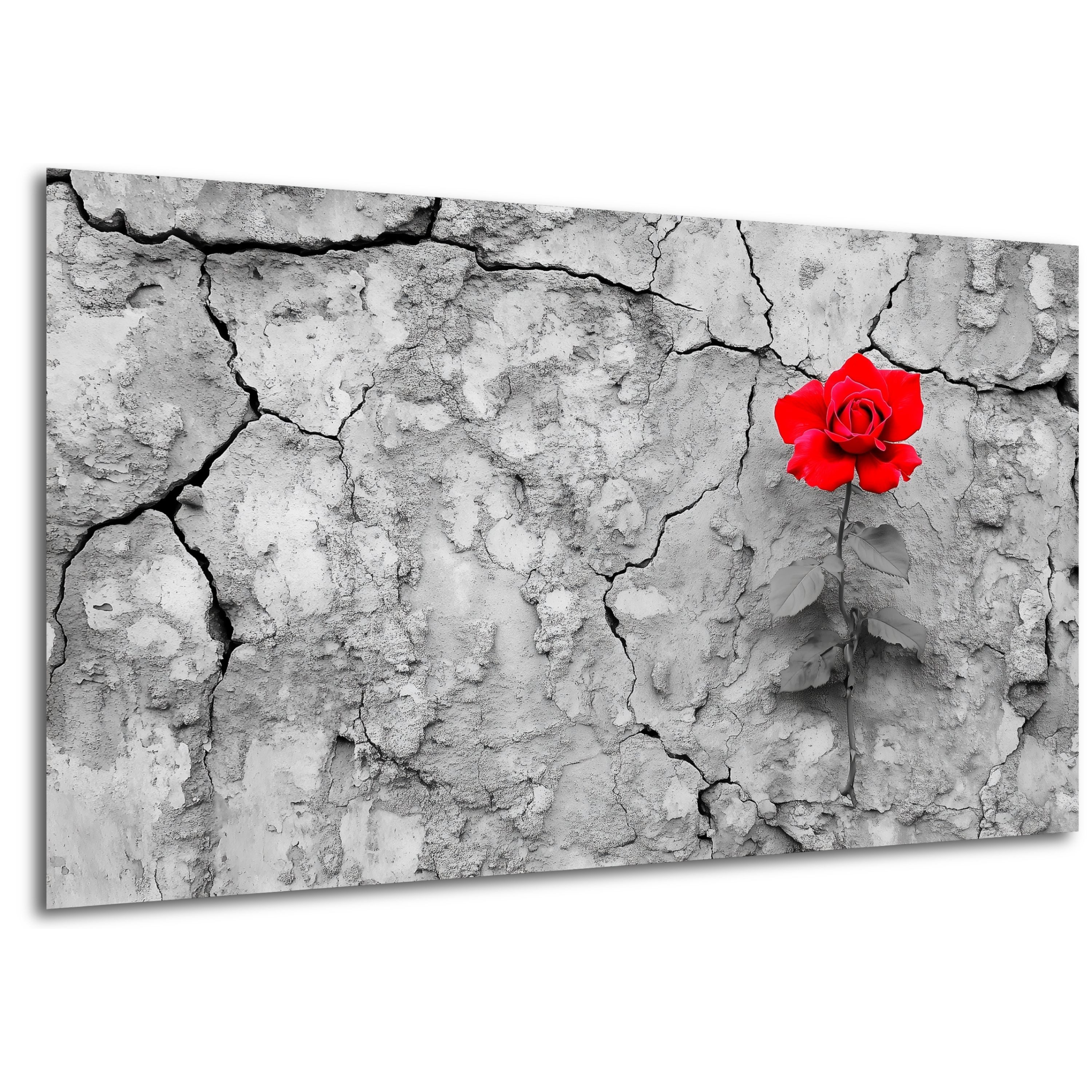 DARO Design Leinwandbild Modern Abstrakt Wandbilder günstig online kaufen