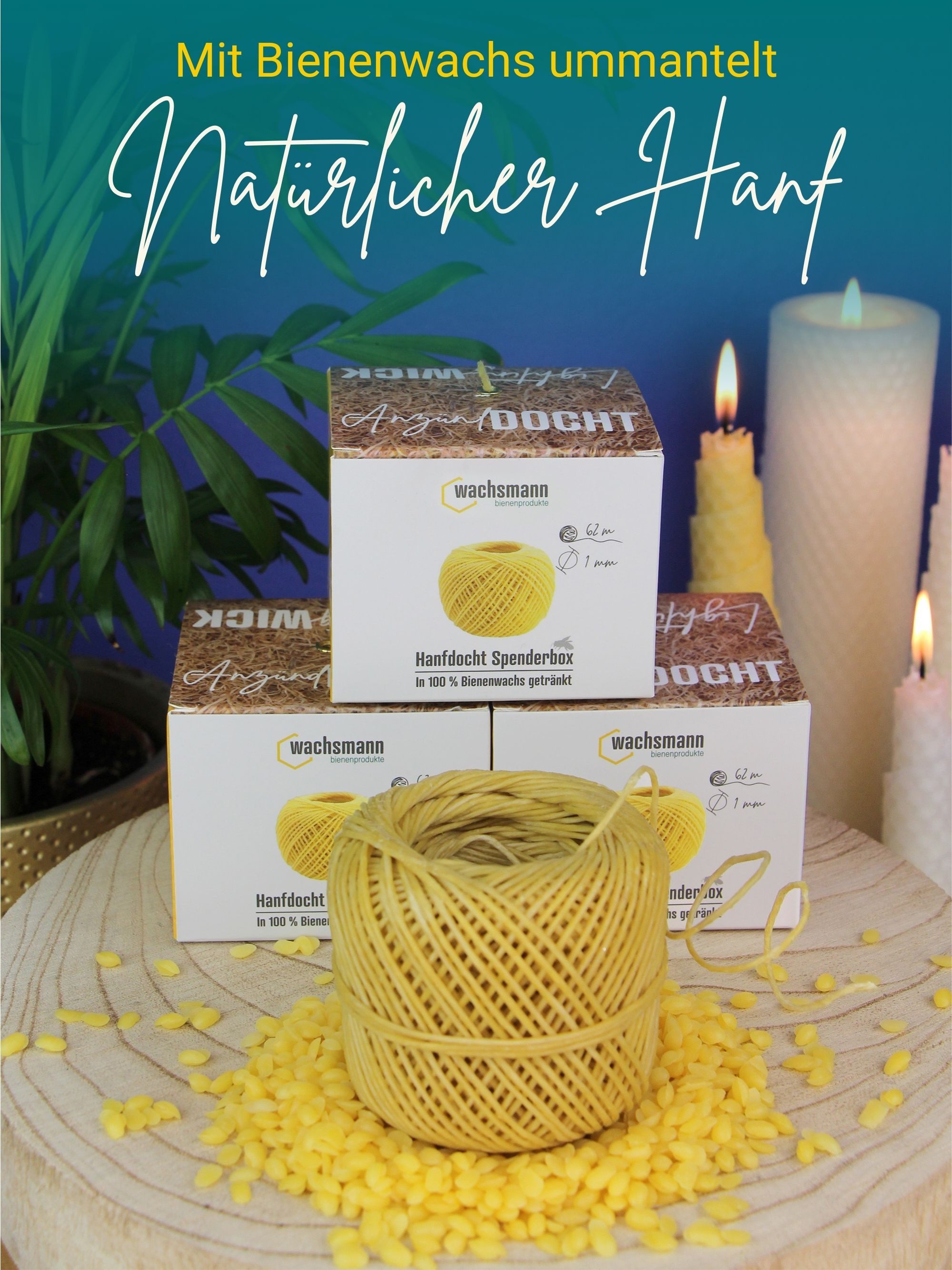 Wachsmann Bienenprodukte Bienenwachskerze Hanfdocht in Spenderbox (62 m, 1 günstig online kaufen
