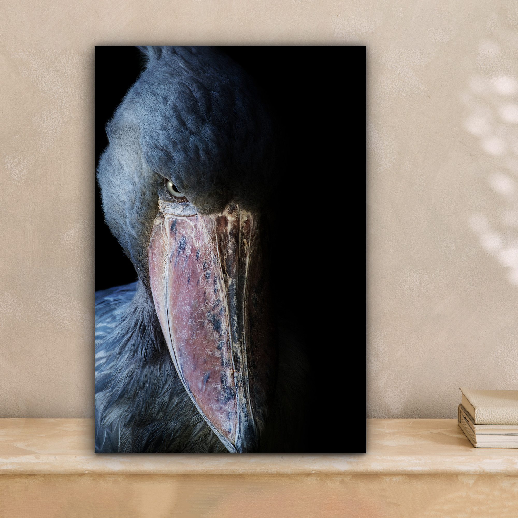 OneMillionCanvasses® Leinwandbild Mysteriöser Schuhschnabel, Fotodruck (1 günstig online kaufen