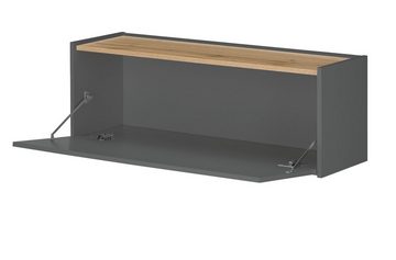 Furn.Design Schreibtisch Center (Homeoffice 2-teilig in grau mit Wotan Eche, Breite 100 cm), ausklappbarer Sekretär