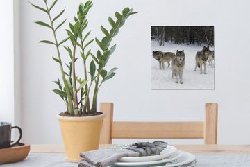OneMillionCanvasses® Leinwandbild Wolf - Schnee - Kanada, (1 St), Leinwand Bilder für Wohnzimmer Schlafzimmer