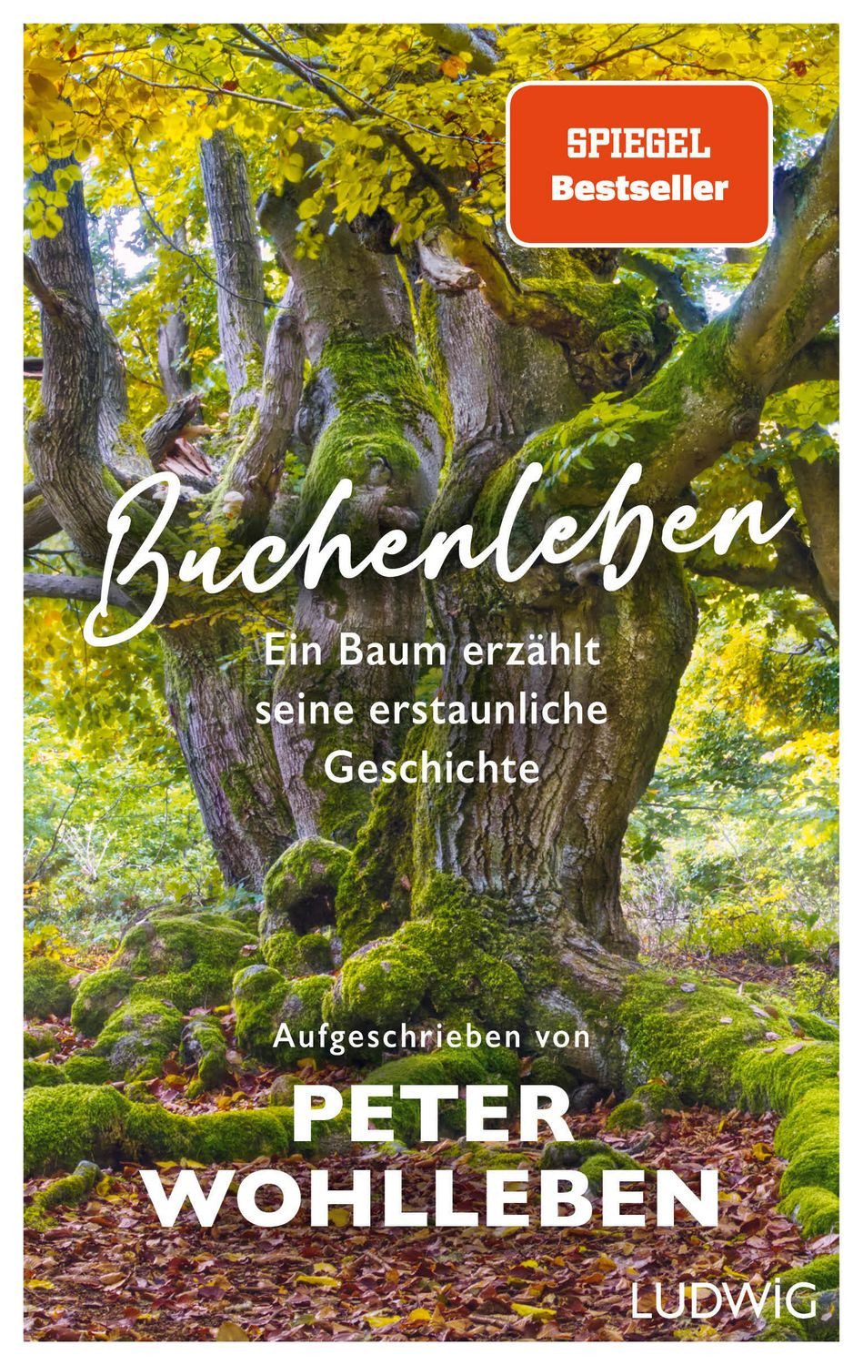 Sachbuch Buchenleben Ein Baum erzählt seine erstaunliche Geschichte - SPIEGEL-B Peter Wohlleben
