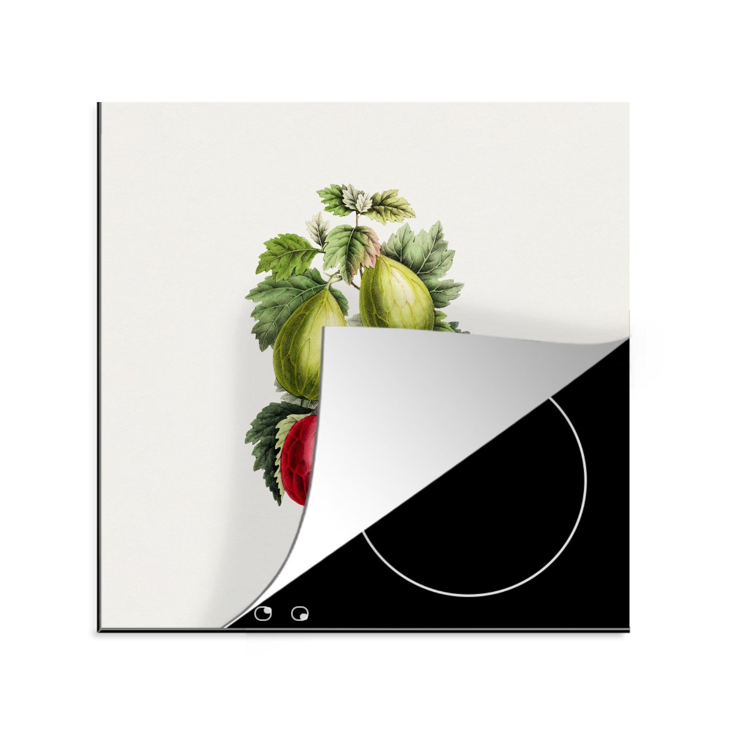MuchoWow Herdblende-/Abdeckplatte Obst - Jahrgang - Feigen, Vinyl, (1 tlg), 78x78 cm, Ceranfeldabdeckung, Arbeitsplatte für küche