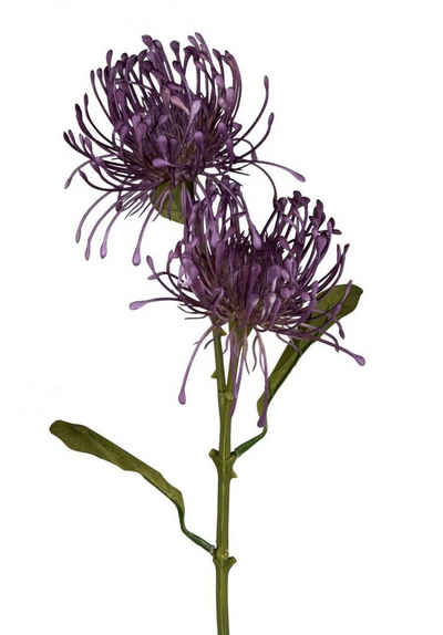 Kunstblume Blütenzweig, formano, Höhe 56 cm, Lila H:56cm Kunststoff