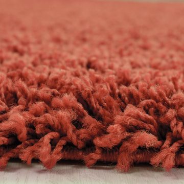 Teppich Unicolor - Einfarbig, Teppium, Rechteckig, Höhe: 30 mm, Teppich Wohnzimmer Shaggy Einfarbig Terrakotta Modern Flauschig Weiche