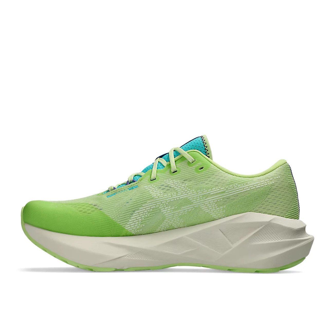 Asics Asics Novablast 5 TR Nature günstig online kaufen