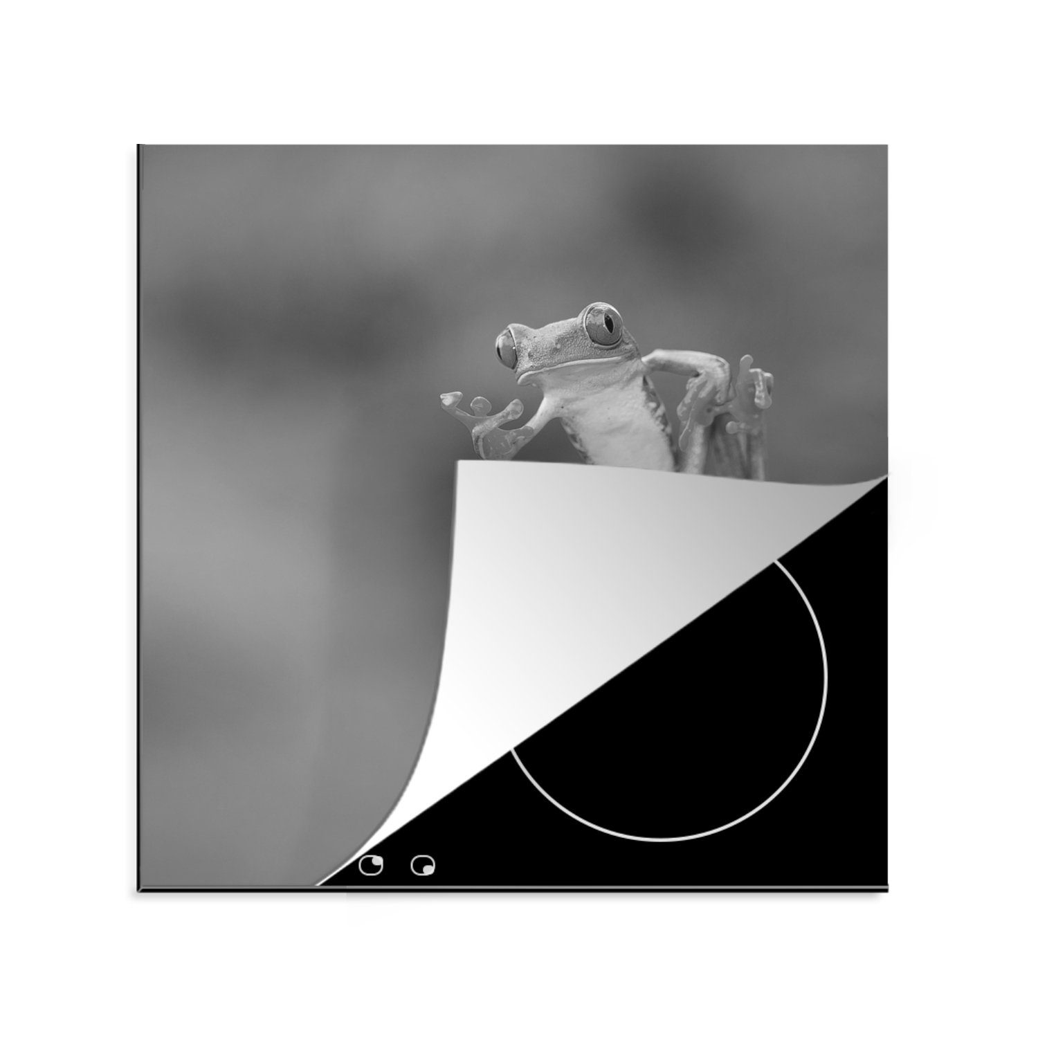 MuchoWow Herdblende-/Abdeckplatte Der rotäugige Laubfrosch in Costa Rica in schwarz-weiß, Vinyl, (1 tlg), 78x78 cm, Ceranfeldabdeckung, Arbeitsplatte für küche