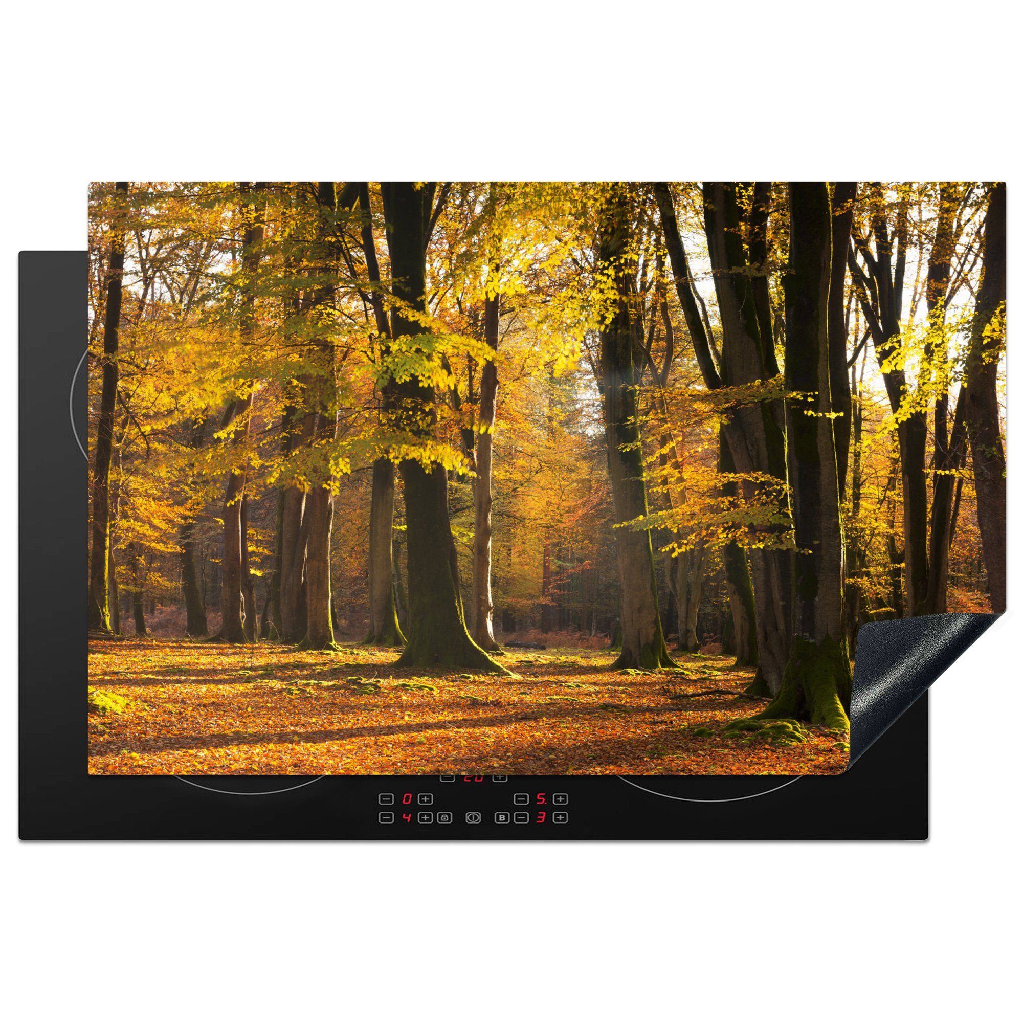 MuchoWow Herdblende-/Abdeckplatte Orangefarbene Herbstwälder im Exmoor-Nationalpark, England, Vinyl, (1 tlg), 81x52 cm, Induktionskochfeld Schutz für die küche, Ceranfeldabdeckung