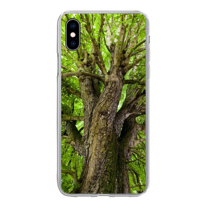 MuchoWow Handyhülle Ein Kastanienbaum im Sommer Handyhülle Apple iPhone Xs Smartphone-Bumper Print Handy