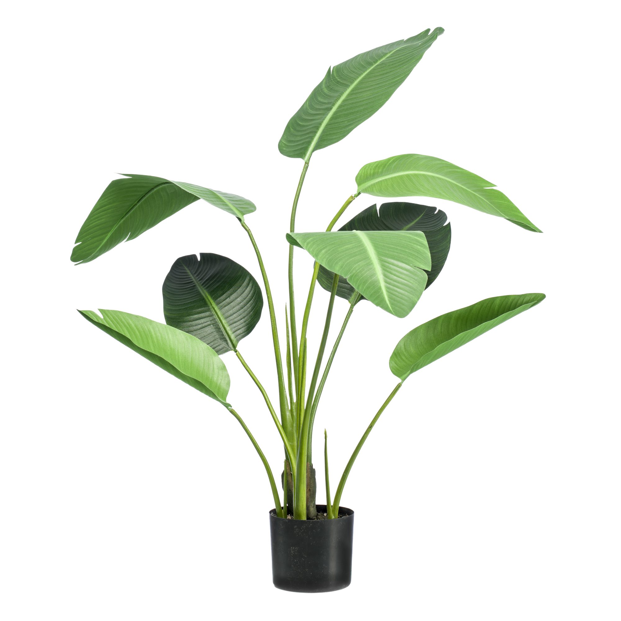 Kunstpflanze Künstliche Pflanze Strelitzia Nicolai – Paradiesvogelblume – 120 cm Paradiesvogelblume, Florora, Höhe 120 cm, moderne Pflanzenoptik