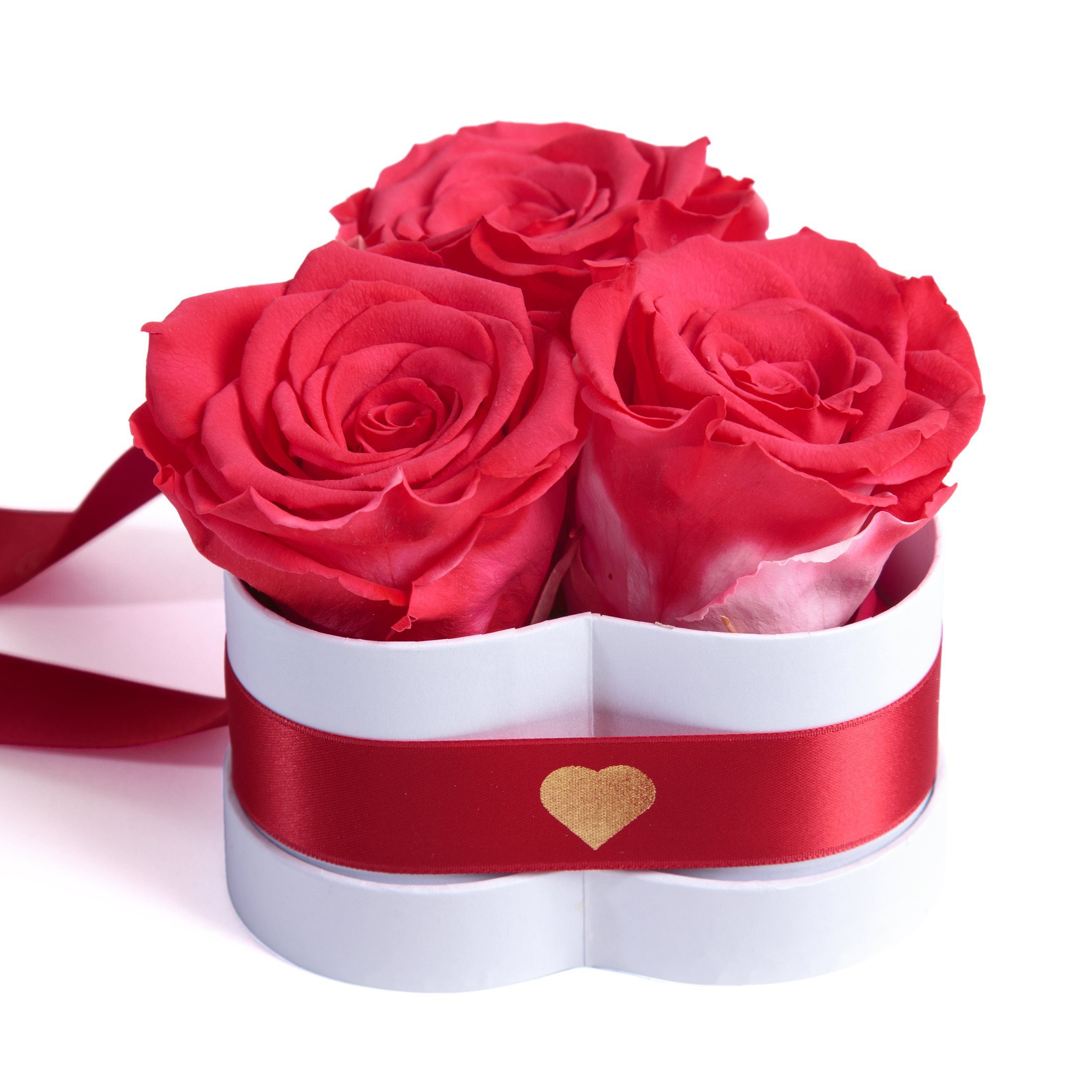 Infinity Welt Herz Beste Korall Kunstblume Rosenbox Rose, Geschenk cm, Rosen der 10 SCHULZ haltbar Höhe für die echte 3 ROSEMARIE Heidelberg, Blumen Mama Jahre 3