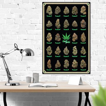 Close Up Poster Cannabis Poster Best Buds Marihuana-Sorten 61 x 91,5 cm