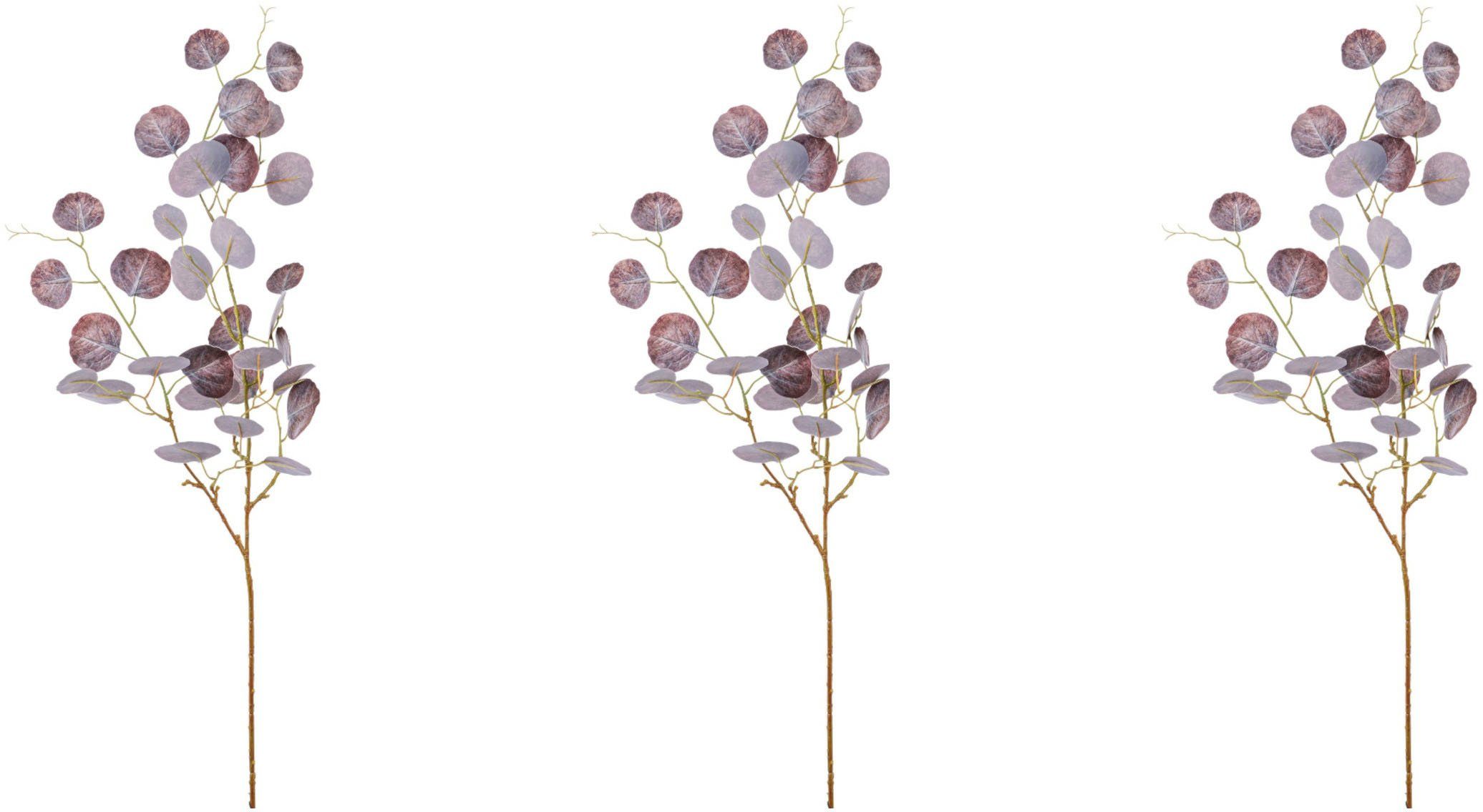 Kunstzweig Eukalypthus-Zweig