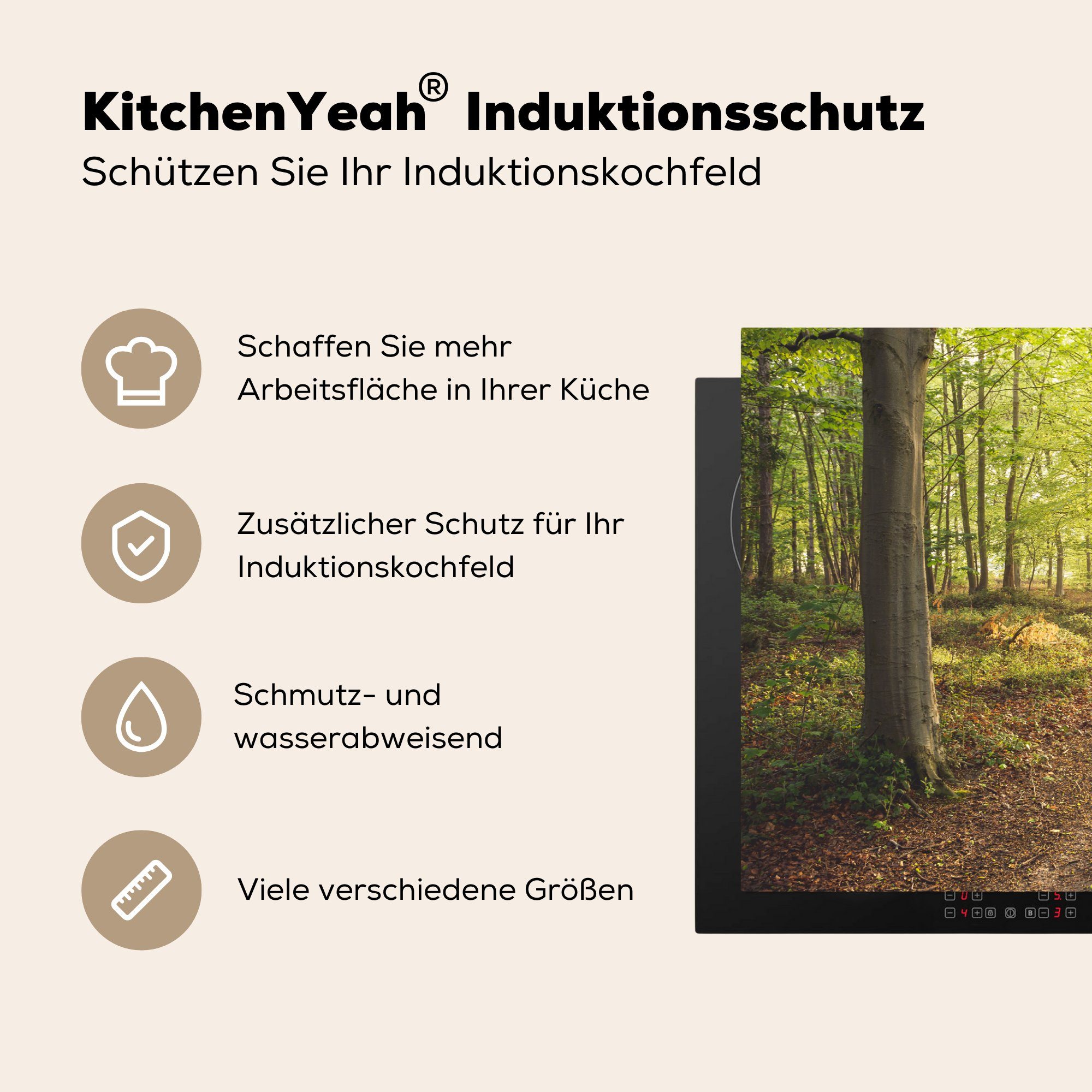 MuchoWow Herdblende-/Abdeckplatte Schutz Wald für Sonnenaufgang, Ceranfeldabdeckung Induktionskochfeld 81x52 cm, küche, (1 Vinyl, Weg - tlg), die 