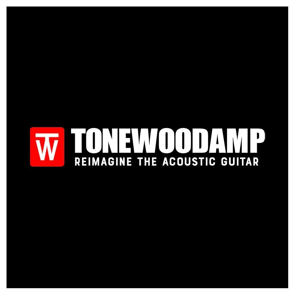 ToneWoodAmp