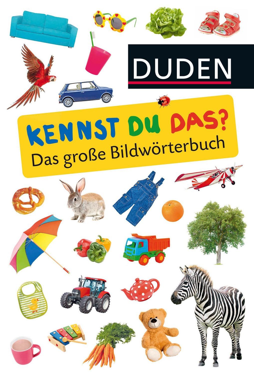 Duden 24+: Kennst du das? Das große Bildwörterbuch / diverse
