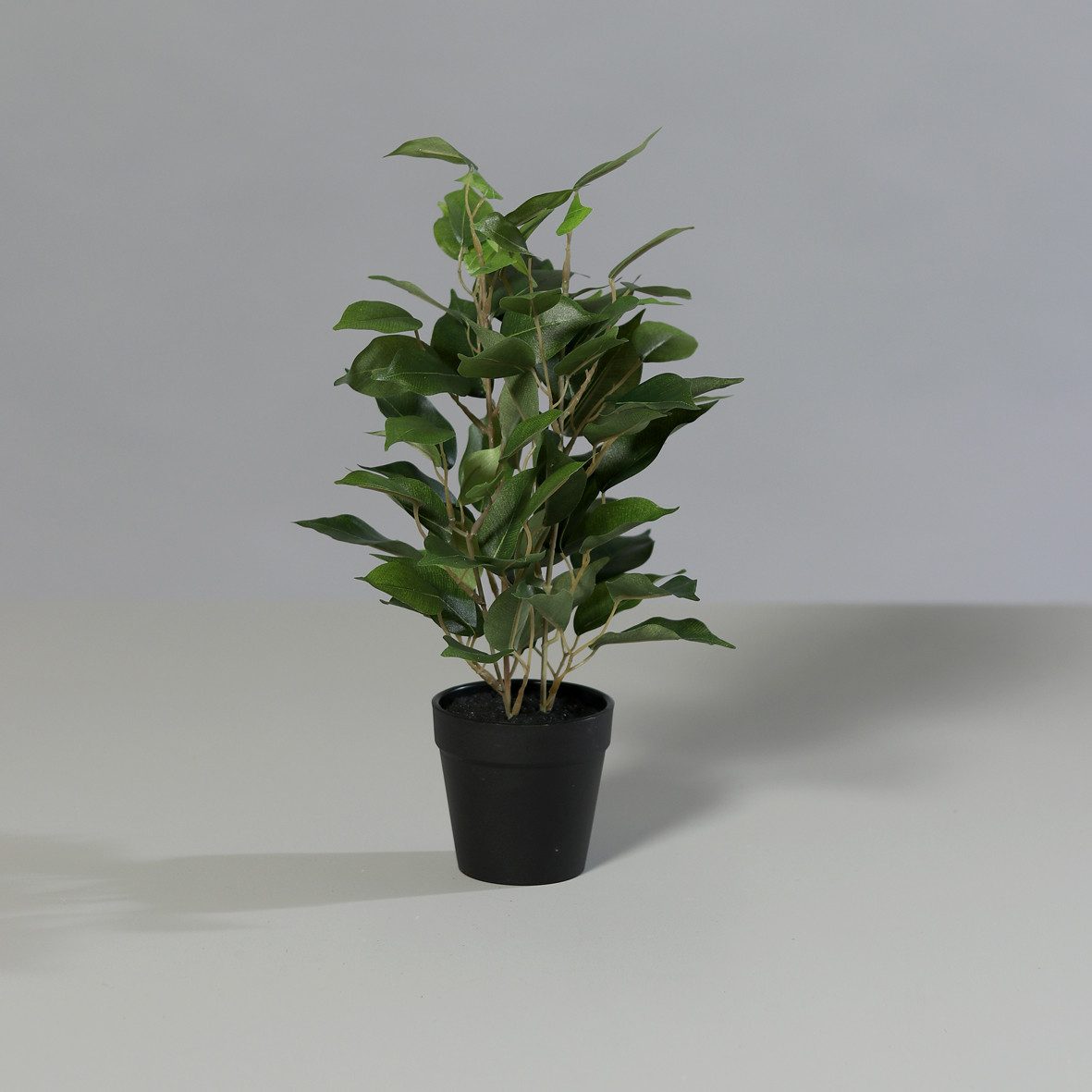 Kunstpflanze Ficus im schwarzen Kunststofftopf 36cm