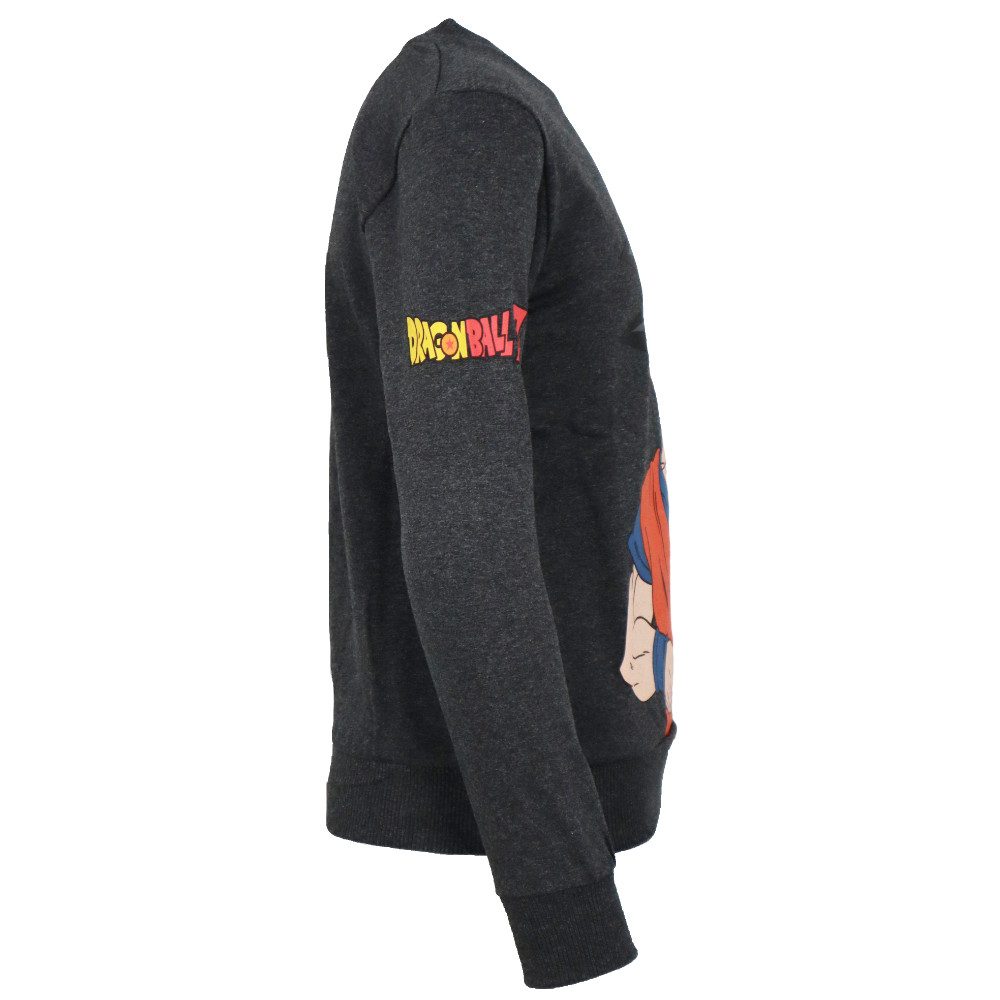 Dragon Ball Sweater Dragon Ball Super Goku Jungen Pullover Pulli Gr. 110 bis 140