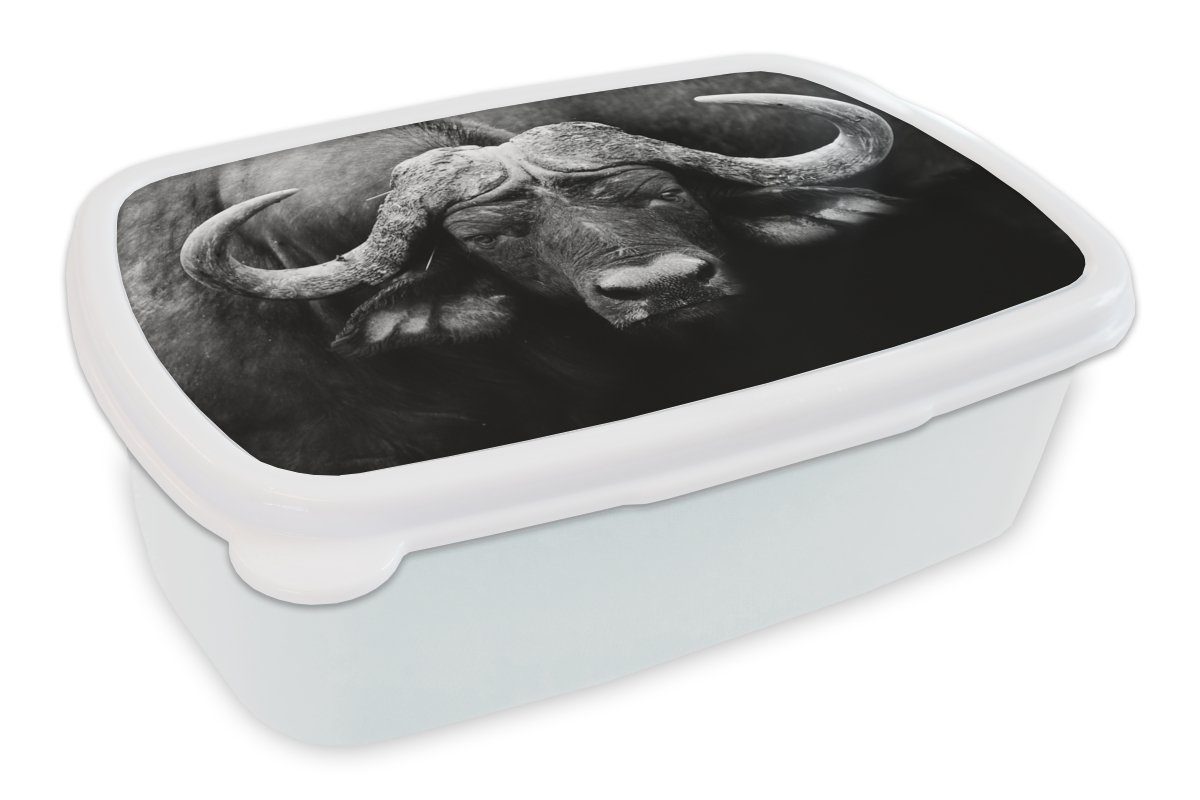 MuchoWow Lunchbox Tiere - Büffel - Schwarz - Weiß - Porträt, Kunststoff, (2-tlg), Brotbox für Kinder und Erwachsene, Brotdose, für Jungs und Mädchen