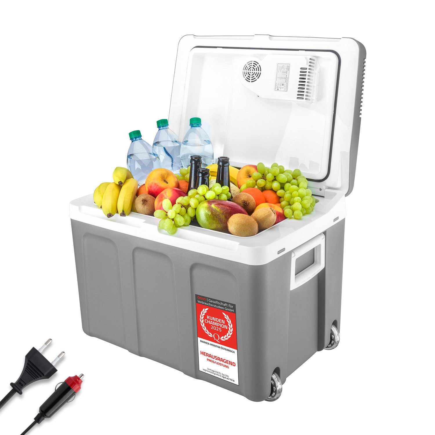TZS FIRST AUSTRIA Elektrische Kühlbox Mobil Kühlschrank, 45L, 12V /230V Anschluss, 12-V-Stecker fürs Auto, für Camping, Festivals, Reisen, mit Kühl- und Warmhaltefunktion