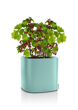 Lechuza® Pflanzkübel Pila Color Planter pastellgrün (1 St)