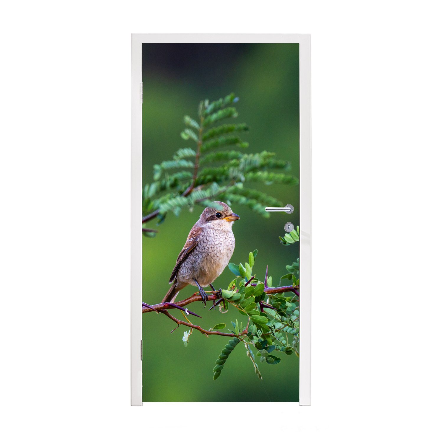 MuchoWow Türtapete Vogel - Baum - Wald, Matt, bedruckt, (1 St), Fototapete für Tür, Türaufkleber, 75x205 cm
