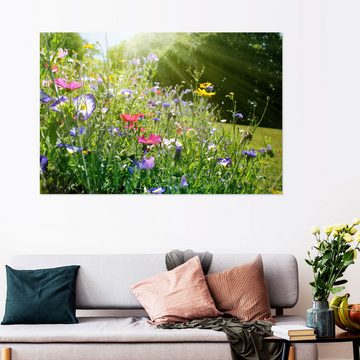 Posterlounge Wandfolie Lichtspielart, Auf einer sonnigen Wildblumenwiese, Fotografie