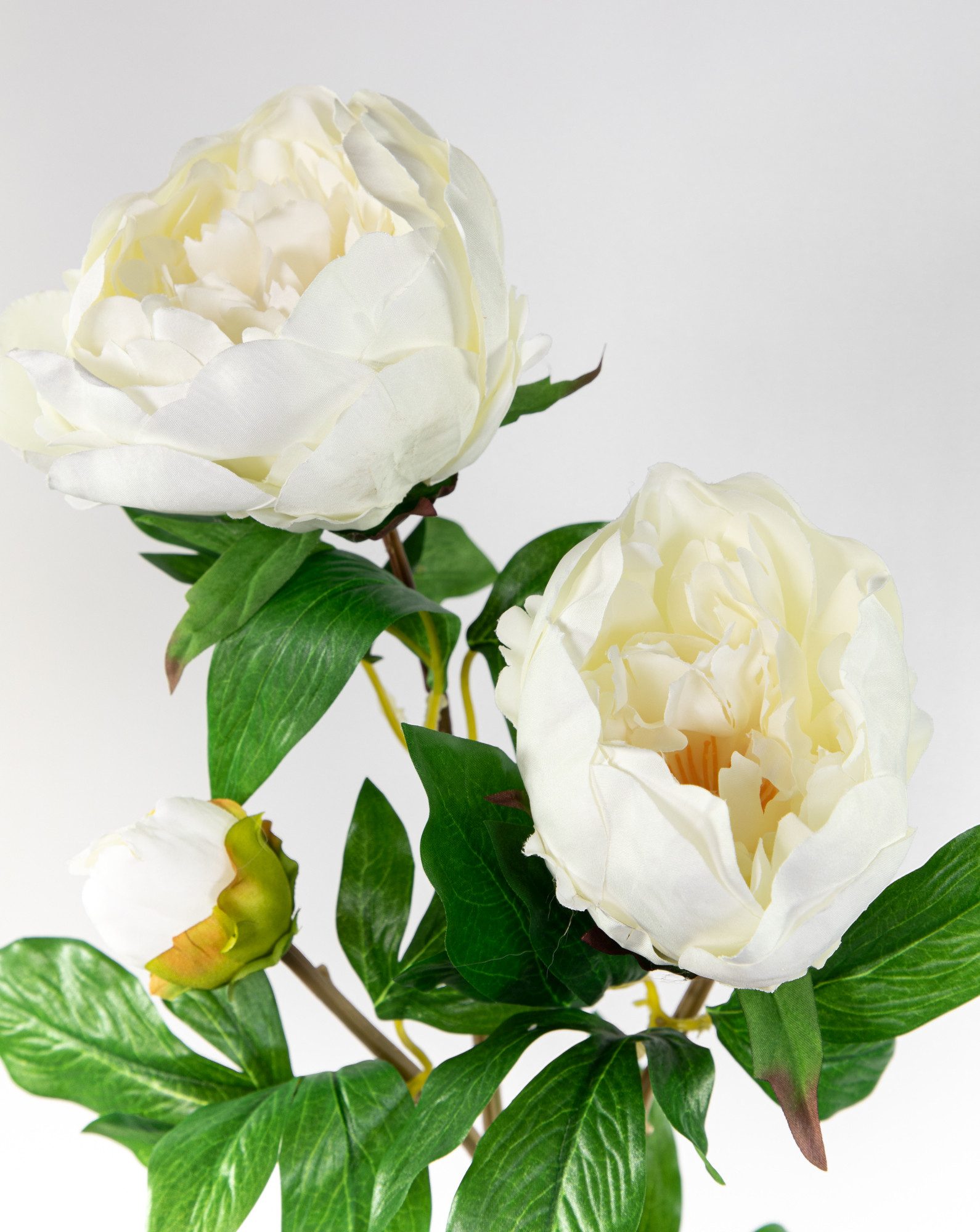 Kunstblume Pfingstrose Nature 68cm GA Seidenblumen künstliche Blumen Päonie, Seidenblumen Roß, Höhe 68 cm, Weiß – Bild 5 von 5