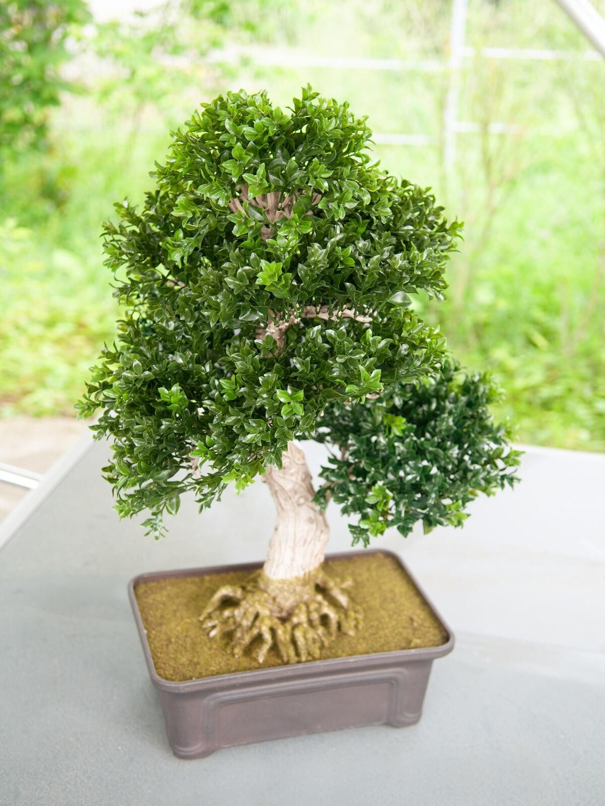 Kunstbaum EUROPALMS Buchsbonsai, Kunstpflanze, 61 cm, günstig online kaufen