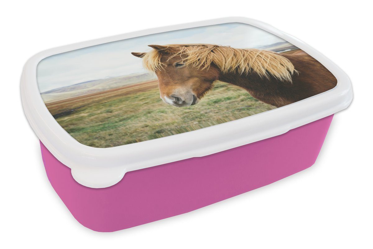 MuchoWow Lunchbox Pferd - Natur - Island, Kunststoff, (2-tlg), Brotbox für Erwachsene, Brotdose Kinder, Snackbox, Mädchen, Kunststoff rosa