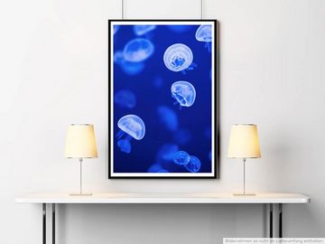 Sinus Art Poster Tierfotografie 60x90cm Poster Kleine weiß leuchtende Quallen im Wasser