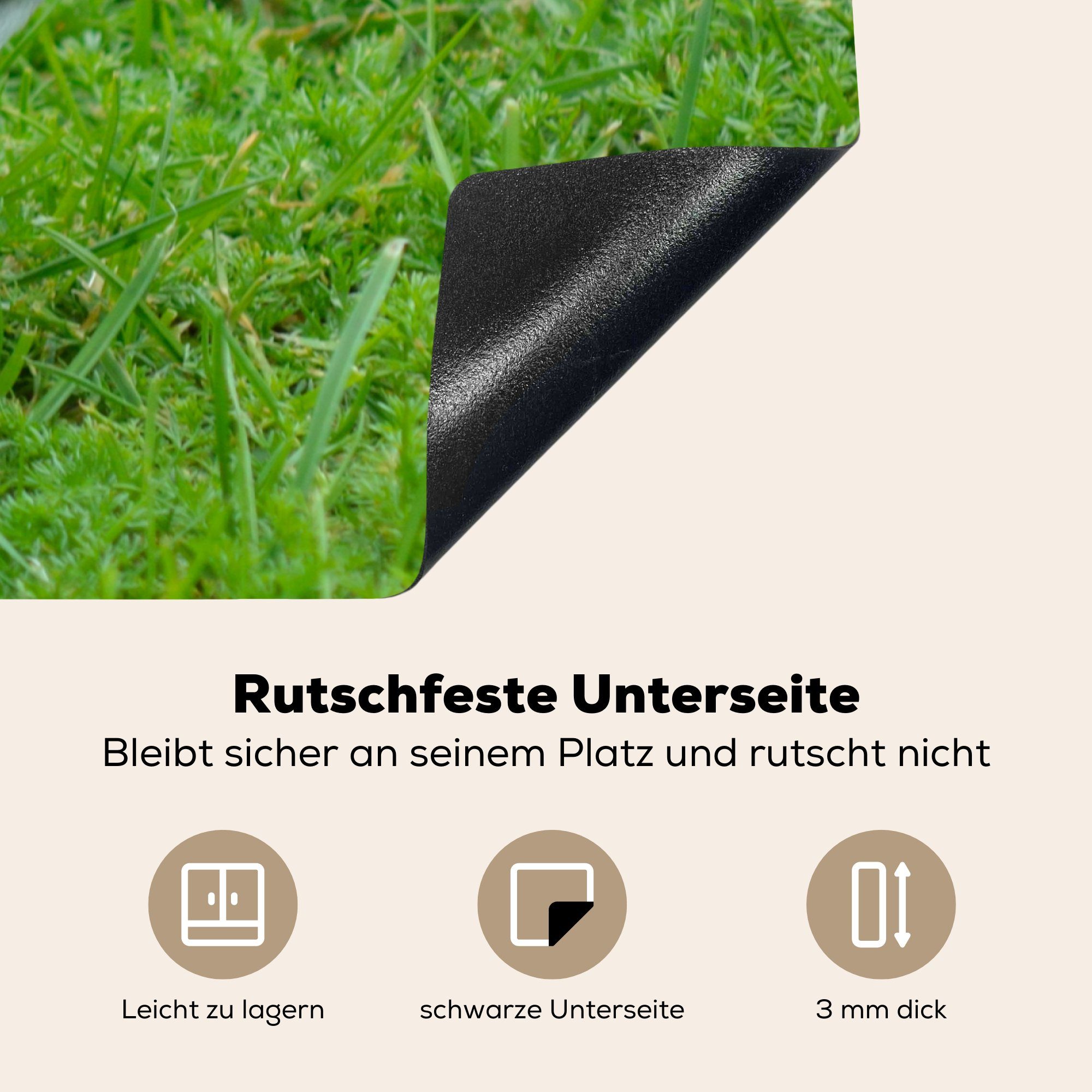 Ceranfeldabdeckung auf 71x52 Induktionskochfeld für Gras, cm, die Schutz küche, Bachstelze (1 Herdblende-/Abdeckplatte weiße Eine MuchoWow grünem Vinyl, tlg),