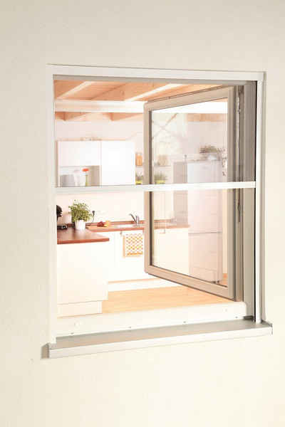 Insektenschutzrollo »SMART«, hecht international, transparent, für Fenster, weiß/anthrazit, BxH: 80x160 cm