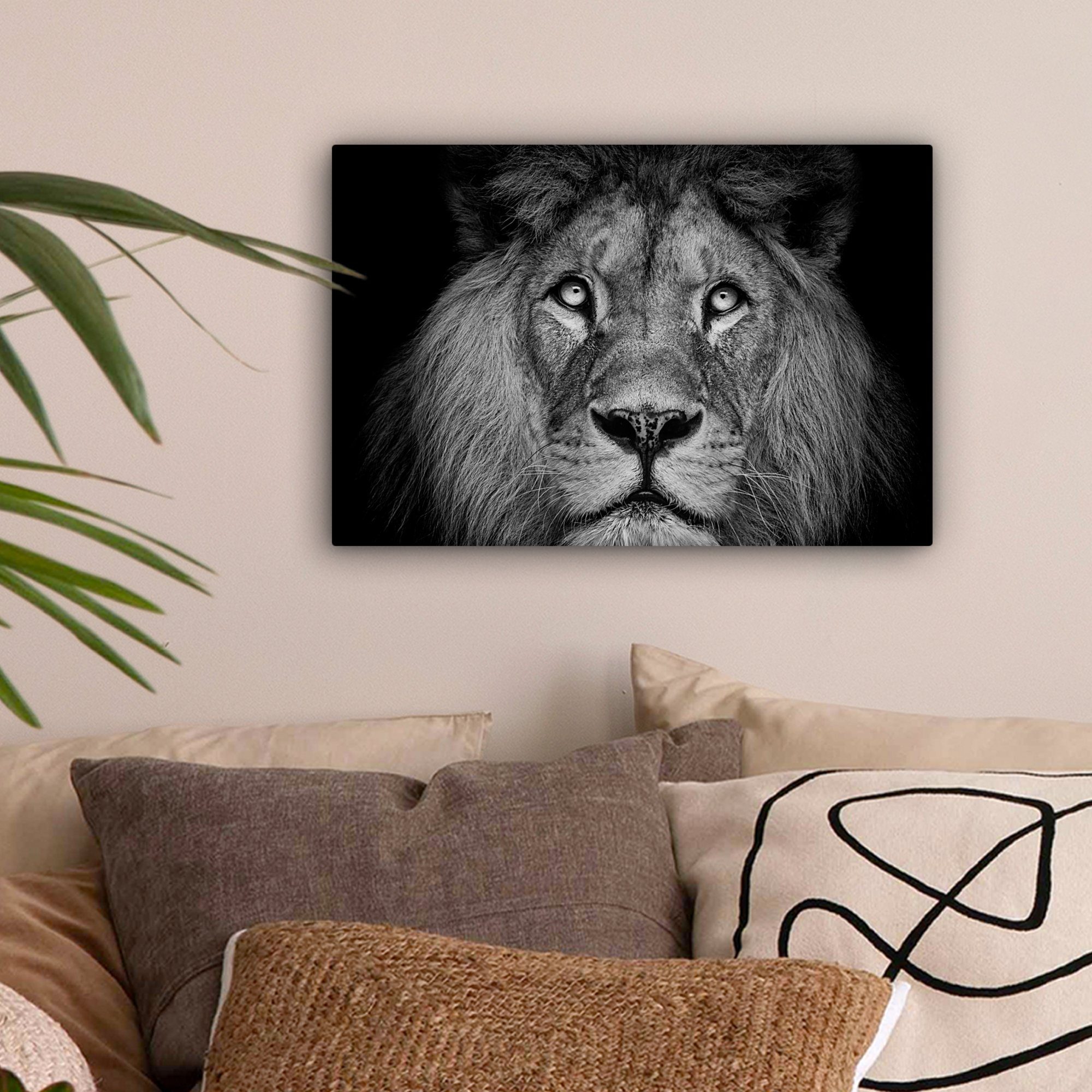 OneMillionCanvasses® Leinwandbild Löwe - Porträt - günstig online kaufen