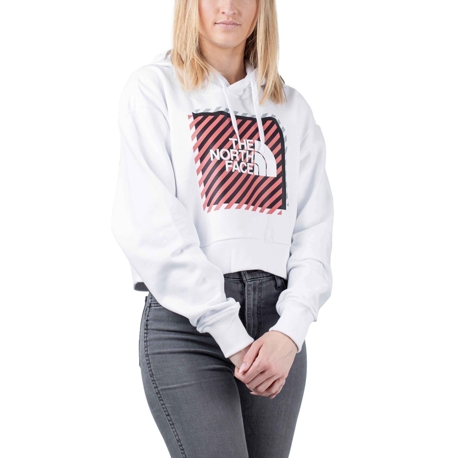 The North Face Hoodie The North Face Coordinates Crop Hoodie