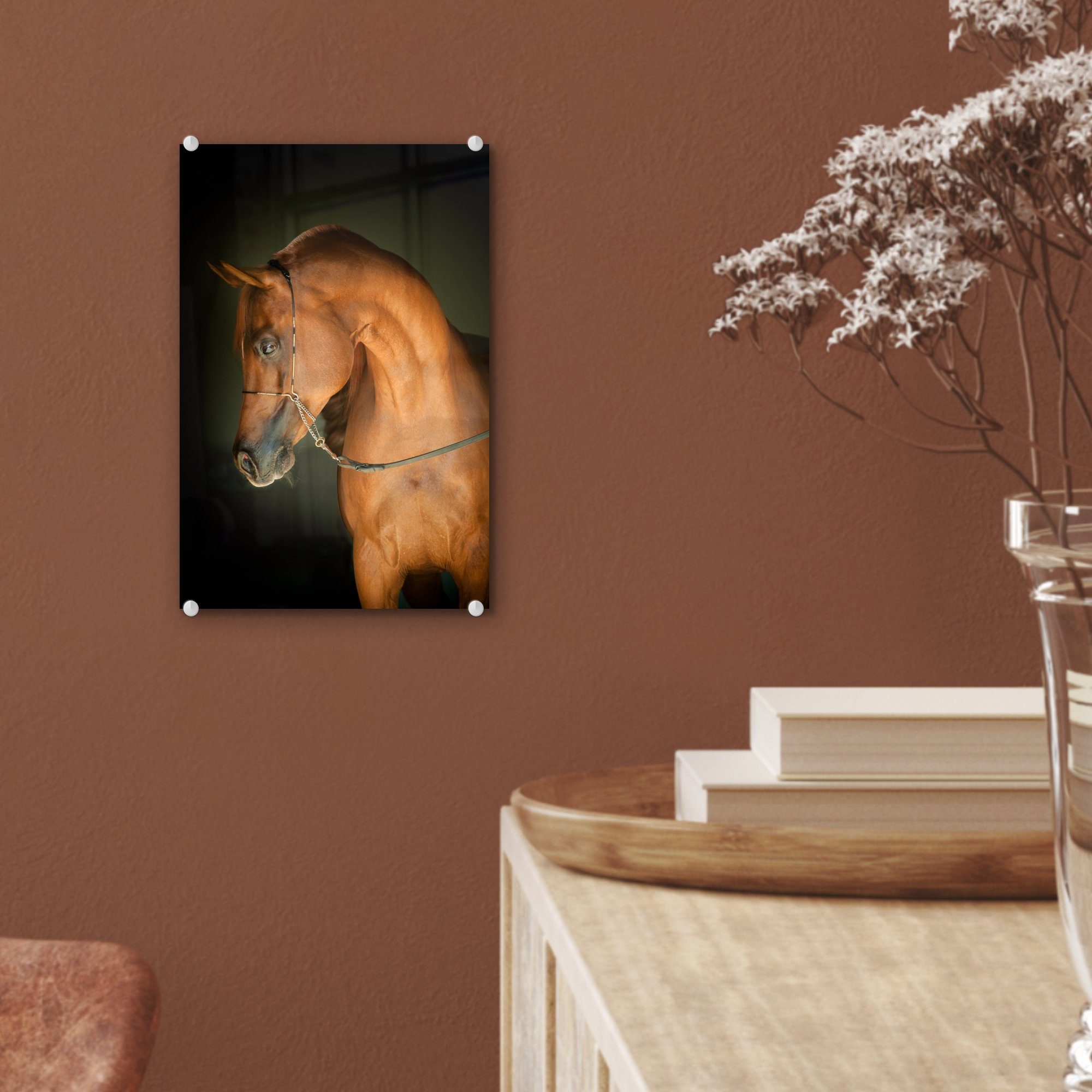 MuchoWow Acrylglasbild Pferd - Braun - Foto Glas Wandbild Schwarz, Bilder Glasbilder auf - St), (1 Wanddekoration auf - - Glas