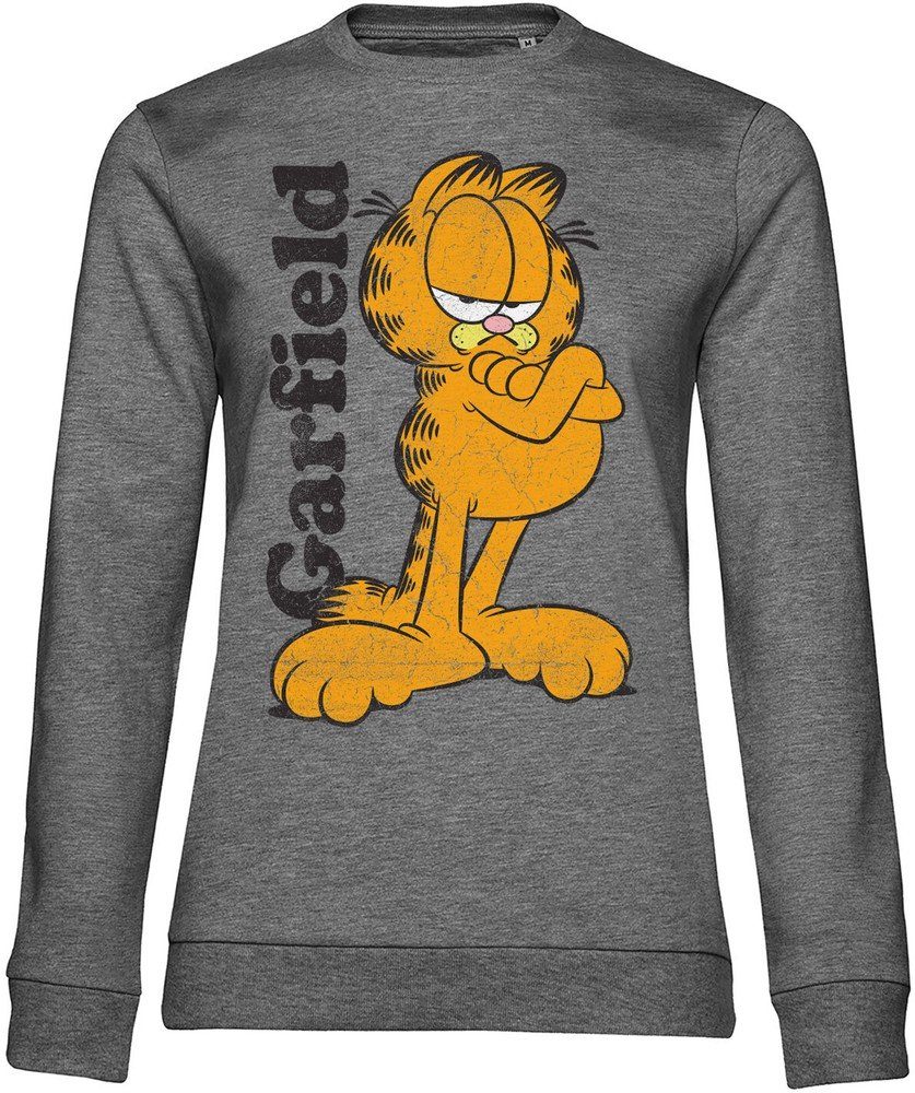 Garfield Rundhalspullover